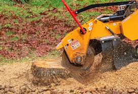 Best Lawn Renovation and Restoration  in Hoer, OK