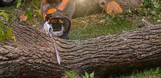 Soil Testing and Treatment in Hooker, OK
